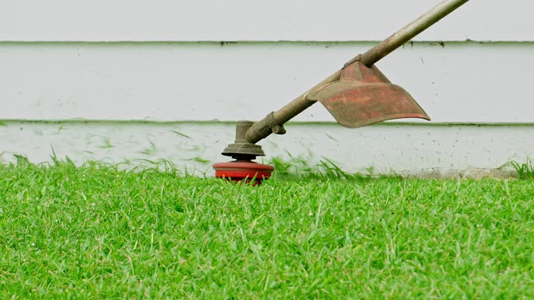 Lawn Watering Services in Woodbine, GA